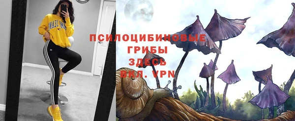 кокаин перу Вяземский