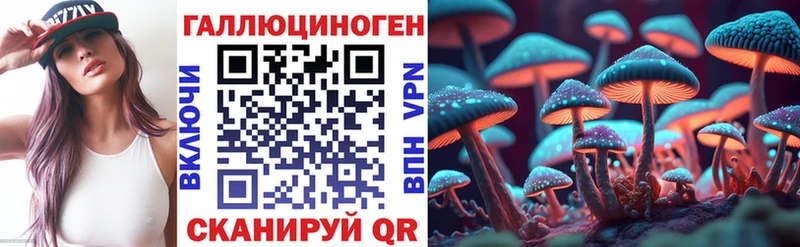Псилоцибиновые грибы мицелий  где купить наркоту  Заинск 